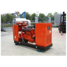 Water Cooled 180kVA LNG Biogas Natural Gas Generator Set